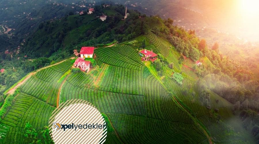 Rize Opel Yedek Parça