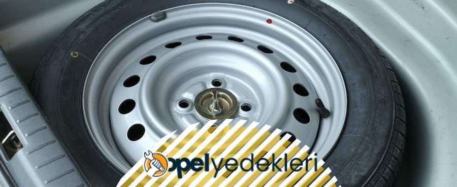 Stepne Nedir ? | Stepne Kısa Bilgi