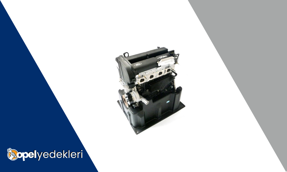 Zetec Motor Kronik Sorunları Nelerdir?