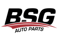 Bsg