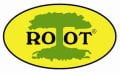 Root