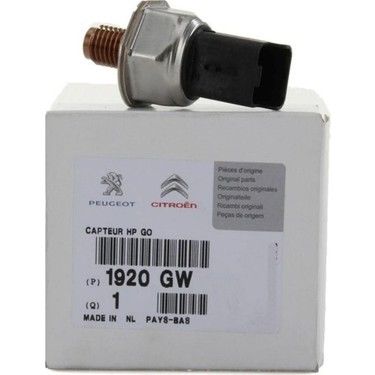 Peugeot 206 1.4 Hdı Euro4 Mazot Basınç Müşürü Rail Müşürü Orjinal Psa Marka 1920gw
