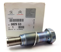 Citroen C4 Eksantrik Zincir Gergisi Psa Orjinal 9824831480