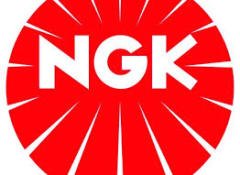 Opel Corsa 1.2/1.4 Ateşleme Buji Takımı Ngk Marka 1214112