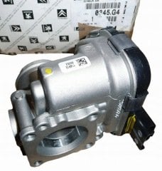Peugeot 308 Dizel Gaz Kelebeği Orjinal Psa Marka 0345.G4