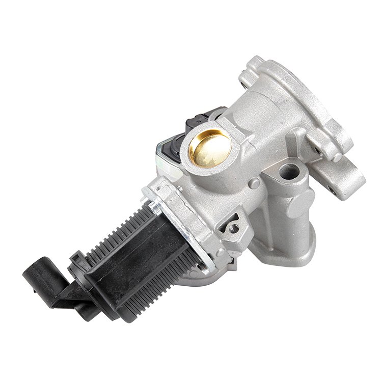 Fiat Palio 1.3 Dizel EGR Valfi Kale Marka 55219498